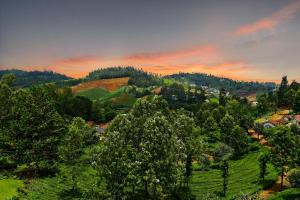 Fotografie z fotogalerie ubytování Hills cottage- Annexe v destinaci Ooty