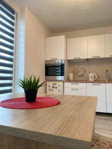 a kitchen with a table with a potted plant on it at Apartman Vills in Sarajevo