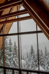 Sofia - Mountain Home talvel