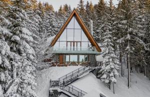 Sofia - Mountain Home talvel