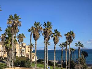 rząd palm przed oceanem w obiekcie Sunny bungalow La Mata with sea views w mieście Torrevieja
