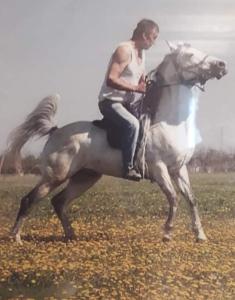 a man riding a horse in a field at Durmitorske kolibe in Žabljak