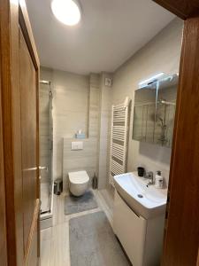 łazienka z toaletą, umywalką i prysznicem w obiekcie Sarajevo Boulevard w Sarajewie