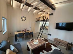 Et tv og/eller underholdning på Apartmány Petr Horní Mísečky - Špindlerův Mlýn