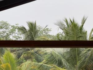 Fotografie z fotogalerie ubytování Sri Lanka Surf Villa Domus Graziella v destinaci Ahangama