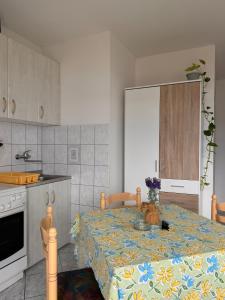 Kuchyň nebo kuchyňský kout v ubytování Apartmani Olga