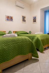 two beds in a room with green comforter at Appartamento per Turisti Mesovia in Santa Severina