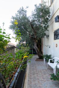 a patio with a tree and a bench next to a building at Appartamento per Turisti Mesovia in Santa Severina