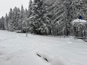 Chata u Vachtů durante l'inverno