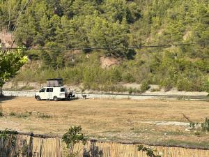 a white van parked in a field with a dog at Camper Van For Rent In Albania in Tirana