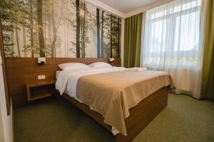 Postel nebo postele na pokoji v ubytování Hotel Comat Deva