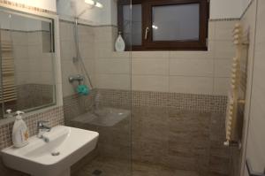 a bathroom with a sink and a glass shower at Bujorului Residence - 2Br Apartament Central in Craiova +16 photos