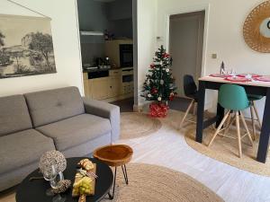 een woonkamer met een bank en een kerstboom bij logement avec accès piscine in Chaumont-sur-Tharonne