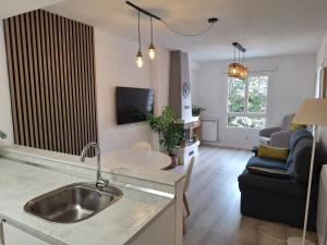 a kitchen and living room with a sink at Acogedor apartamento con piscina compartida y opción a parking in Jaca