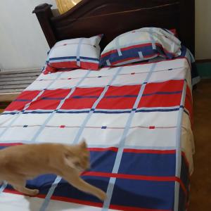 Postel nebo postele na pokoji v ubytování Casa Osa Bella de Arte