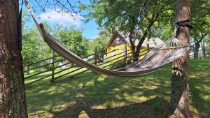 a hammock hanging from a tree in front of a house at Sootska Leima Luha Puhketalu in Leimani +37 photos