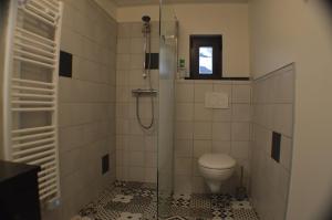 a bathroom with a toilet and a shower with a window at chalet Marigo, Pra-loup 1500 in Uvernet