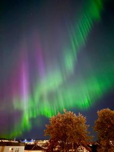 Fotografie z fotogalerie ubytování Unik leilighet midt i Narvik v destinaci Narvik