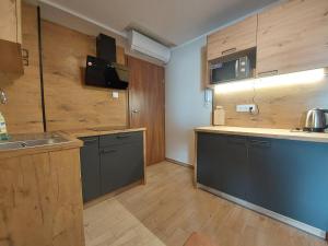 a kitchen with a sink and a counter top at AE Berg in Ujazd