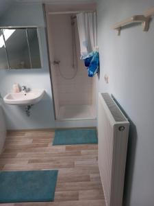a bathroom with a sink and a shower and a white sink at Haus Hopfgarten in Schwalmtal