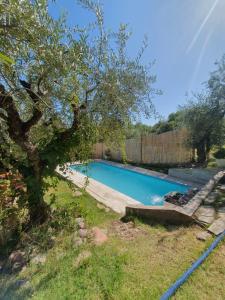 a swimming pool in a yard with a tree at Casa Caminos del vino in Mendoza