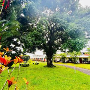 Κήπος έξω από το Hotel Villa Fortuna