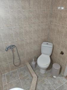 a bathroom with a toilet and a shower at Tuz House R1 in Bakuriani +4 photos
