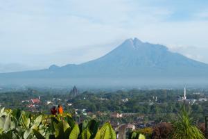 Pemandangan gunung umum atau pemandangan gunung yang diambil dari resort