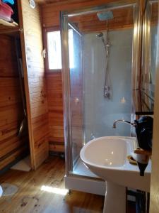 a bathroom with a shower and a sink at La Cabane d'Oza in Saint-Pierre-dels-Forcats +5 photos