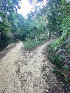 a dirt road in the middle of a forest at Botânico inn in Morro de São Paulo