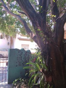 a tree next to a fence next to a tree at Casa de botellas in Buenos Aires