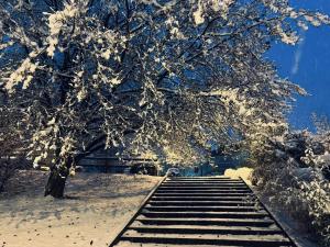 Terme Apartment Levico during the winter