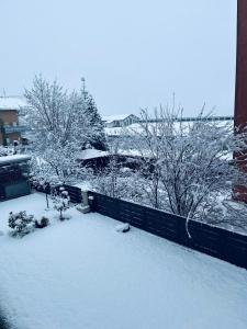 Terme Apartment Levico during the winter