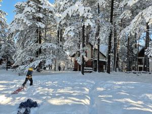 una persona in piedi nella neve vicino agli alberi di Rustic Home Tara a Kaludjerske Bare