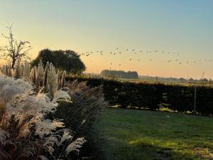 Κήπος έξω από το Ferienhaus Landruhe