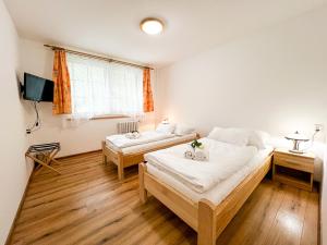 a room with two beds and a tv in it at Hotel Horník in Žďár nad Sázavou