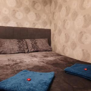 a bedroom with a bed with two red pillows at Between Lake and Sea in Liepāja