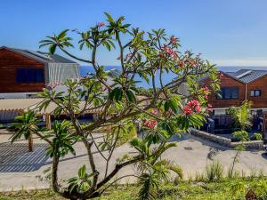 Foto sihtkohas Petite-Île asuva majutusasutuse Le Rêve Bleu Grand Anse galeriist