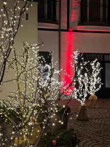 Un árbol de Navidad con luces delante de un edificio. en Hotel Rejs, en Ustka