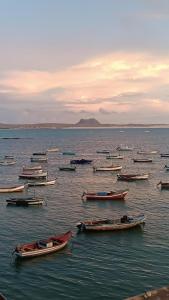 a group of boats in a large body of water at My Boavista 2 in Sal Rei +5 photos