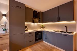 a kitchen with gray cabinets and a sink at Appartement Maria Theresia in Hopfgarten im Brixental