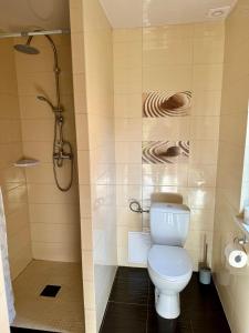 een badkamer met een toilet en een douche bij Domki Letniskowe Konik 3 in Radków