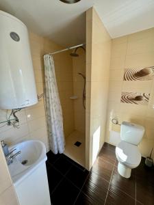 een badkamer met een douche, een toilet en een wastafel bij Domki Letniskowe Konik 3 in Radków