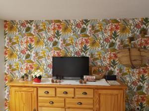 einen Fernseher auf einer Kommode mit Tapete in der Unterkunft charmante maisonnette au calme in Montélimar