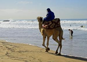a man riding a camel on the beach at Banana Beach Flat in Agadir