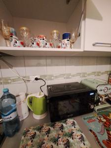 a kitchen counter with a stove and a microwave at Sweet cozy apartment in Roman +42 photos