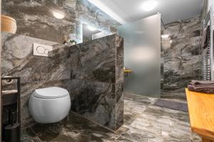 a bathroom with a toilet and a stone wall at U Lokajů in Rašovice