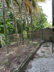 Zahrada ubytování Hostel Toucan Coliving Les rives du mahury
