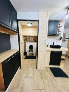 Kuchyň nebo kuchyňský kout v ubytování Apartmán Kunst + 23 fotografií