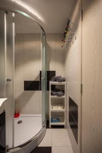 a bathroom with a shower and a bath tub at Apartman Senka 2 in Divčibare +30 photos